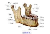 下颌支_360百科 What Foods Should I Eat For Better Heart Health